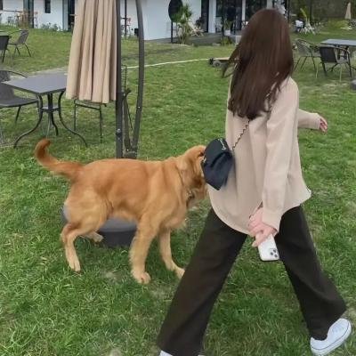 饿虎扑羊